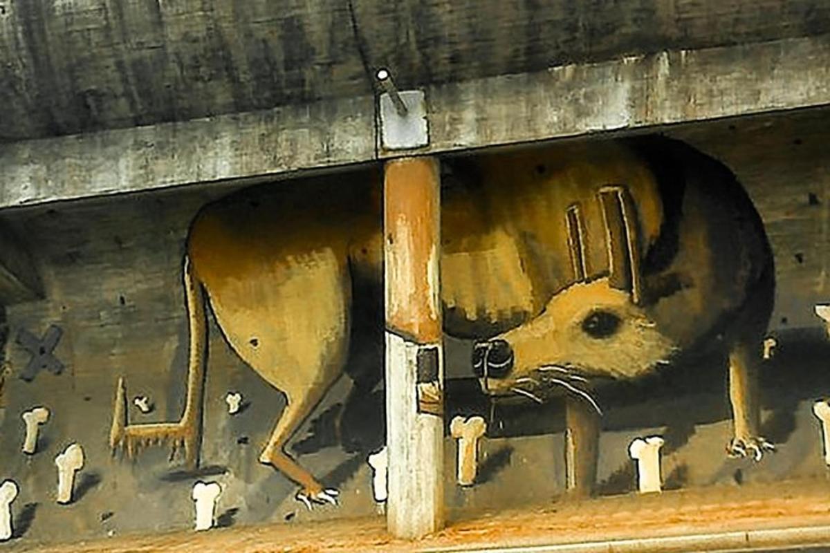 o pictură cu un câine pe un perete