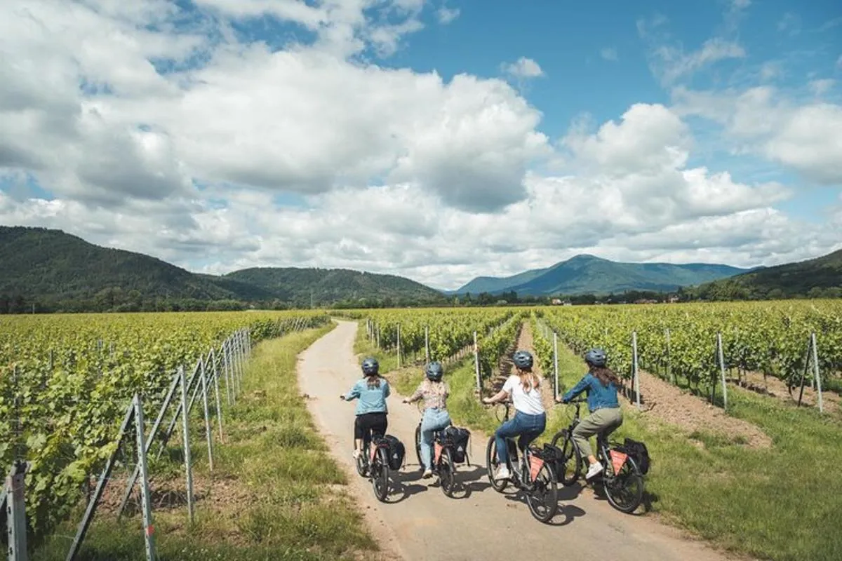 Balade à vélo guidée sur la Route des Vins, 3 h avec vélos électriques – photo 6