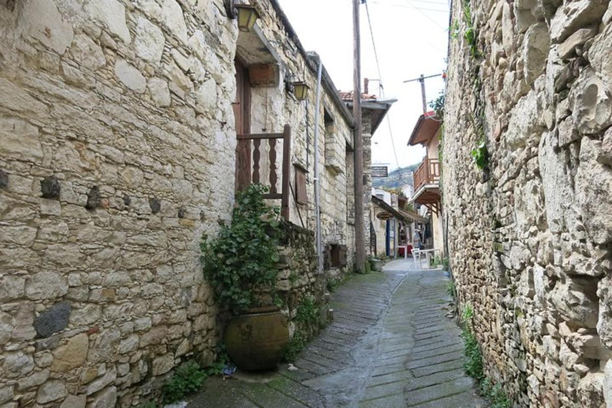 o alee de piatră cu o plantă în ghiveci