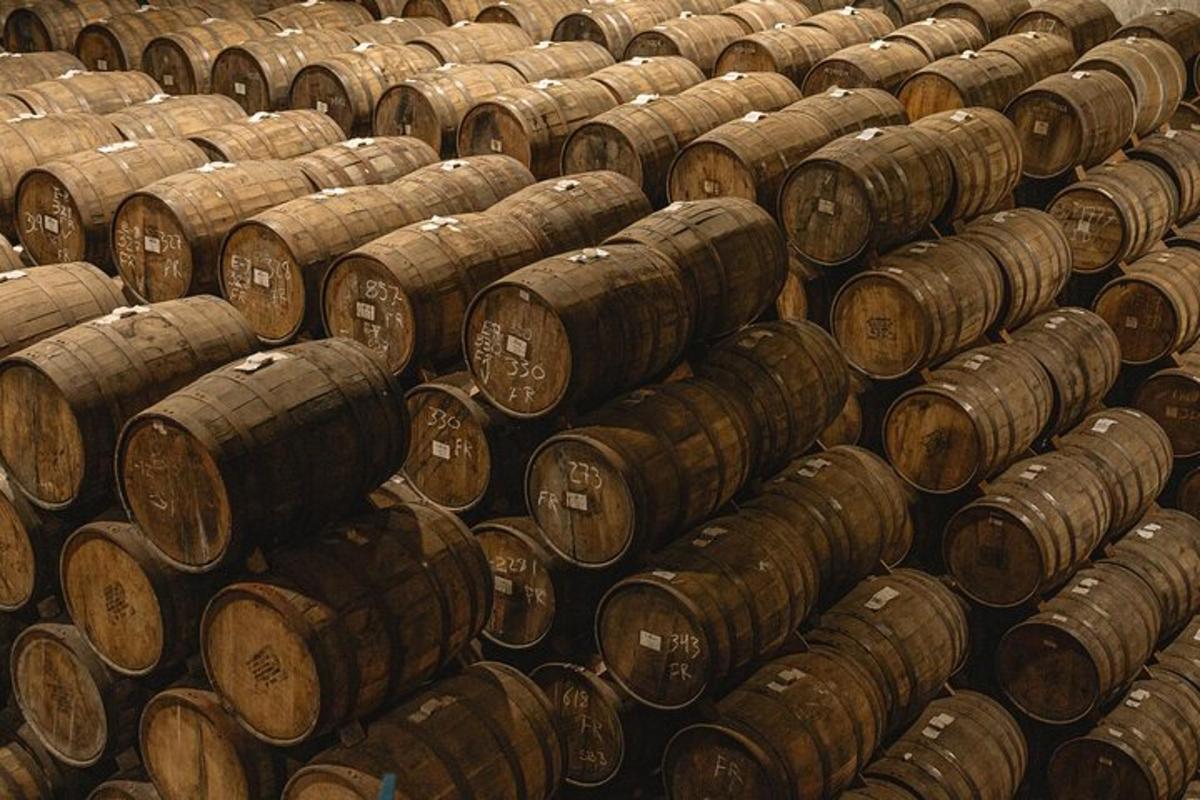 um grande grupo de barris de madeira em uma sala