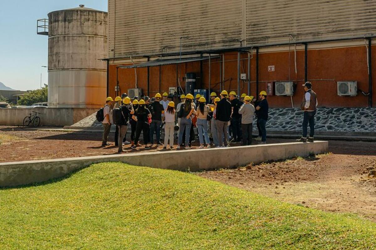 um grupo de pessoas usando capacetes amarelos em pé em frente a um prédio