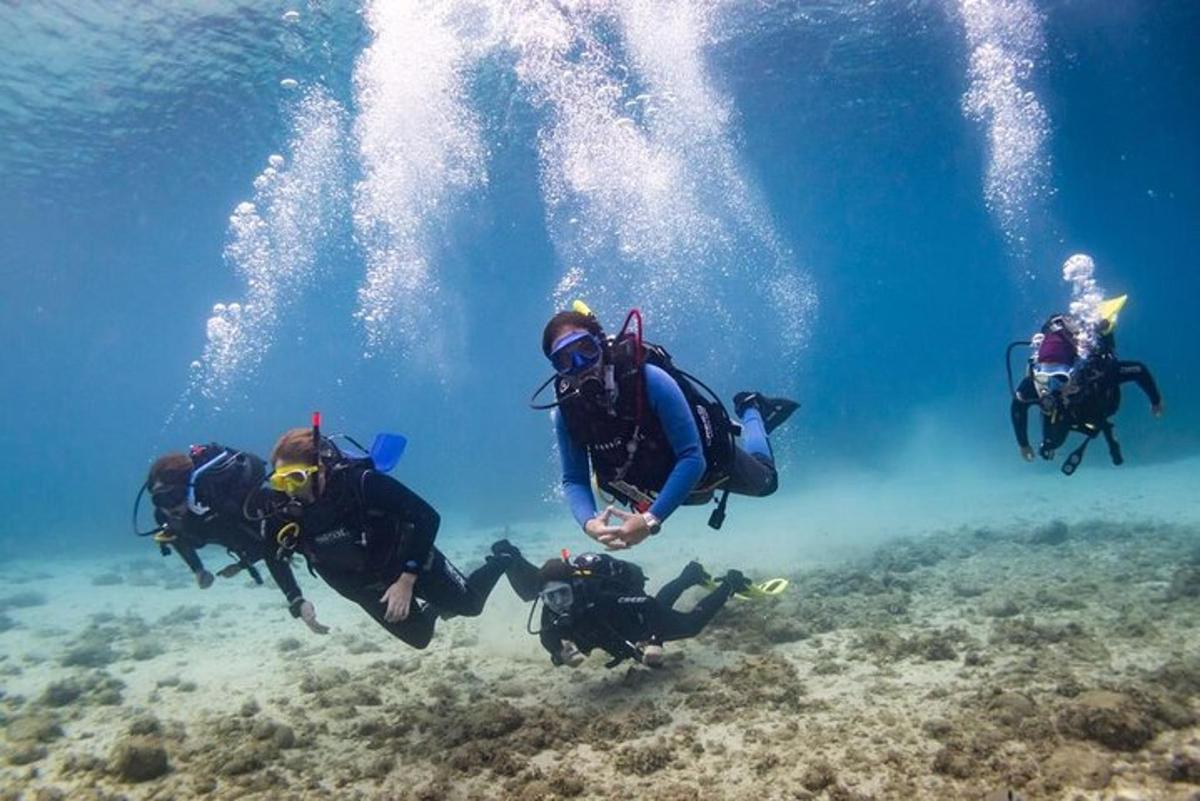 un gruppo di persone si sta immergendo nell'oceano