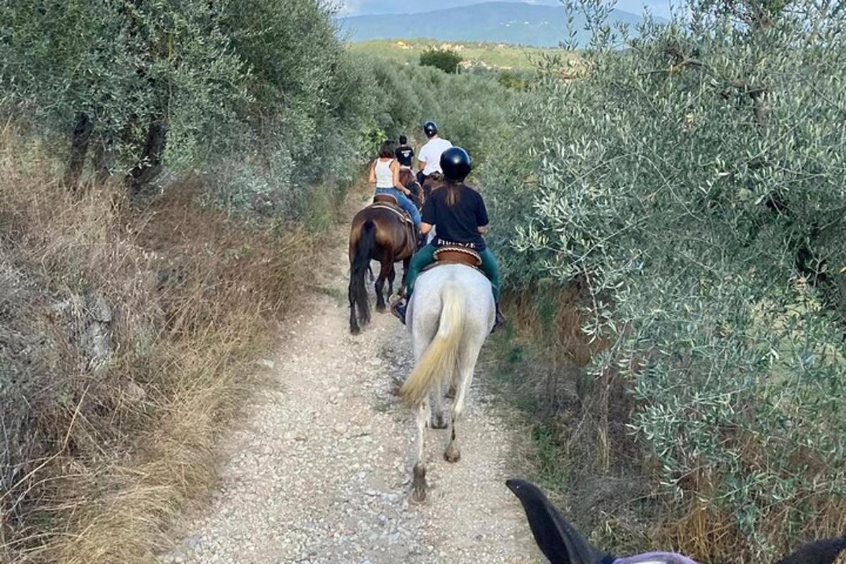skupina lidí jedoucích na koních po stezce