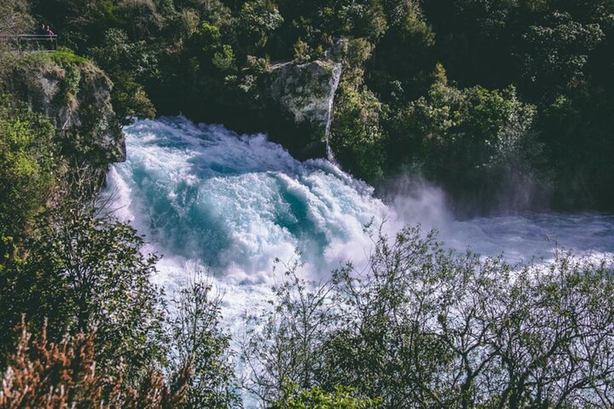 une cascade dans une rivière dans une forêt