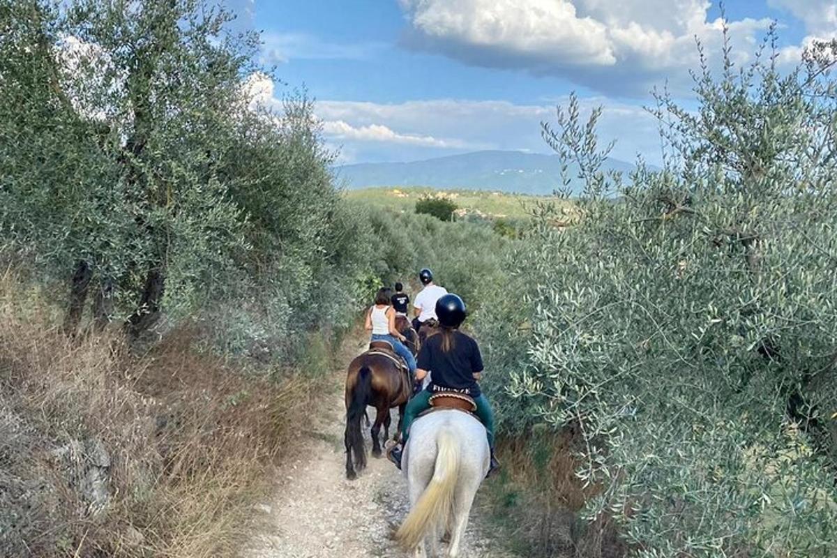 skupina lidí jedoucích na koních po stezce