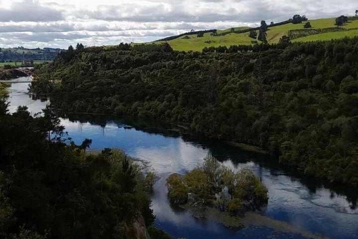 une vue aérienne d'une rivière avec des arbres et un champ