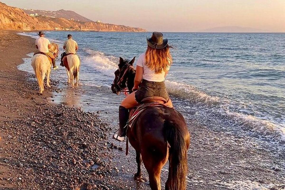 sahilde at sırtında gezen bir grup insan