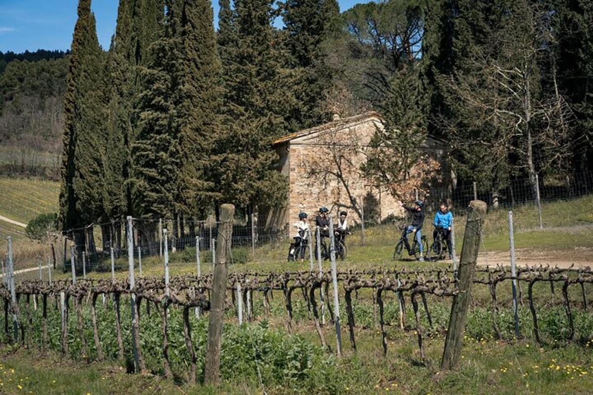 un gruppo di persone in bicicletta in un campo