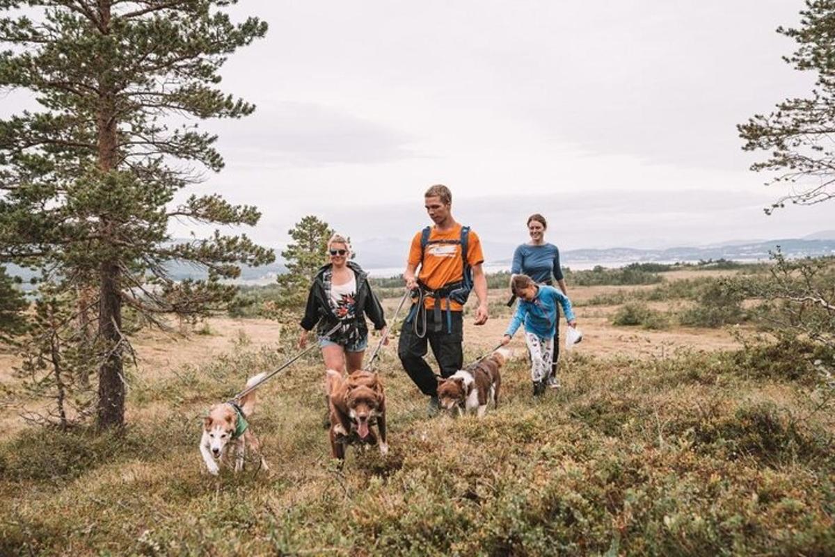 a family walking their dogs on a trail