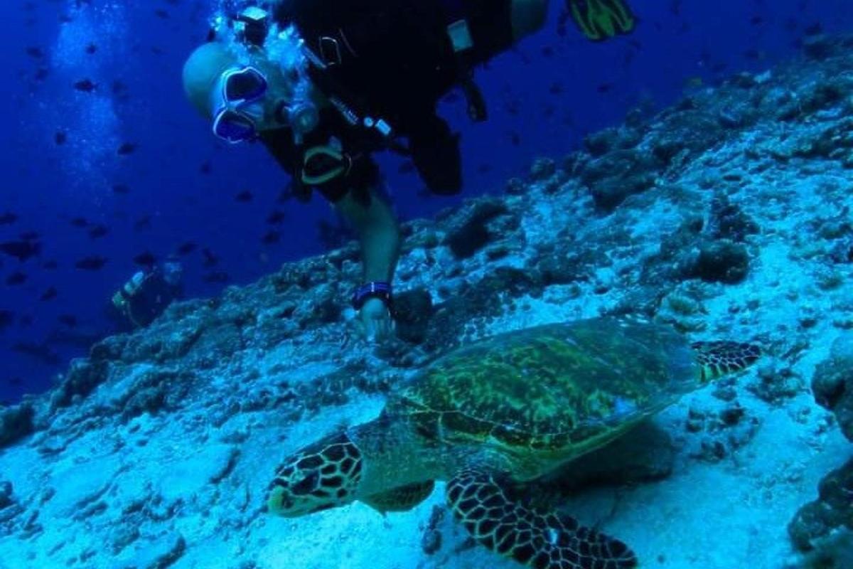 osoba fotografující želvu v oceánu