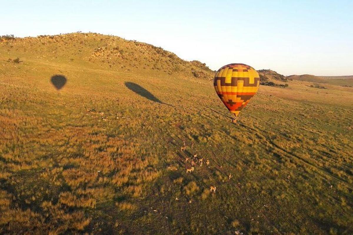 un palloncino arancione sta volando in un campo