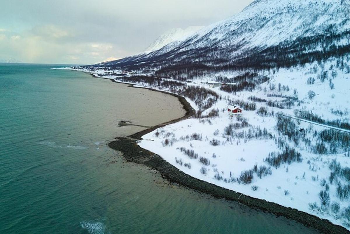 uma vista aérea de uma praia com uma montanha coberta de neve
