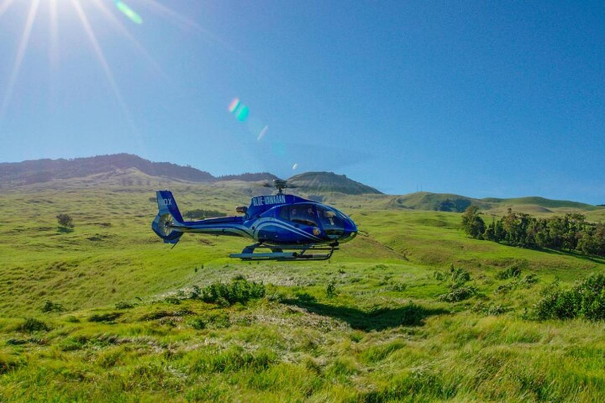 niebieski helikopter stojący na trawiastym polu