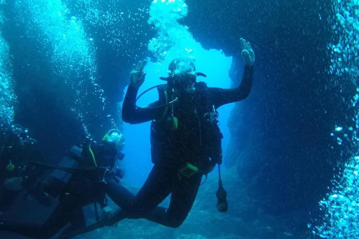 a person in a scuba diver in the water
