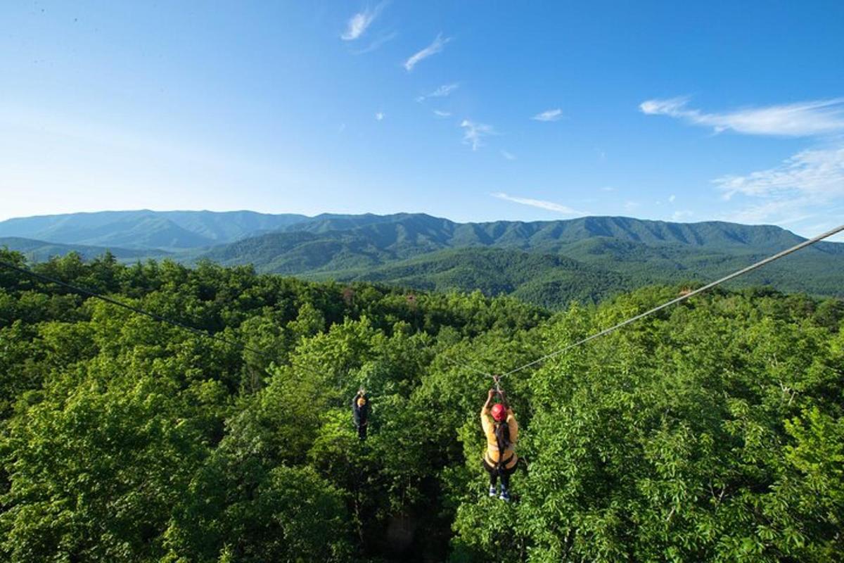 dva lidé na zip line ve stromech