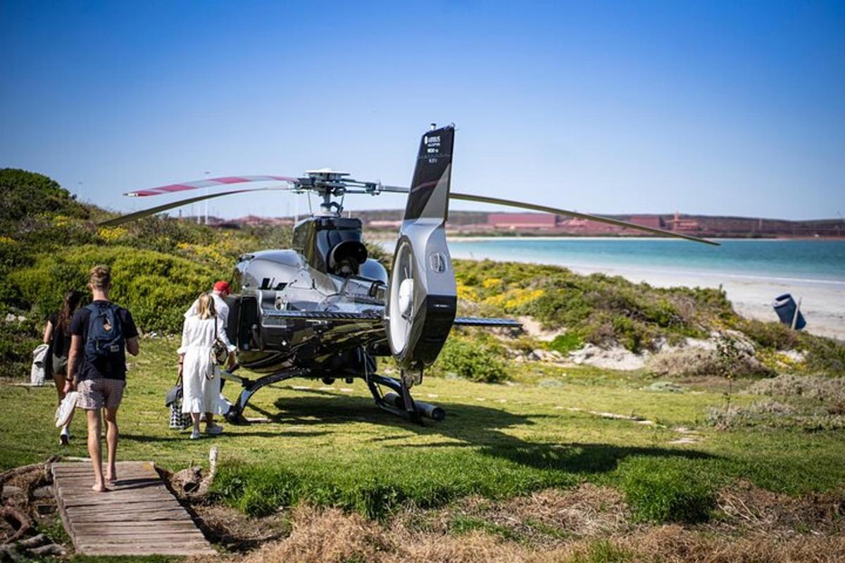 Un helicóptero estacionado en el césped junto a una playa.