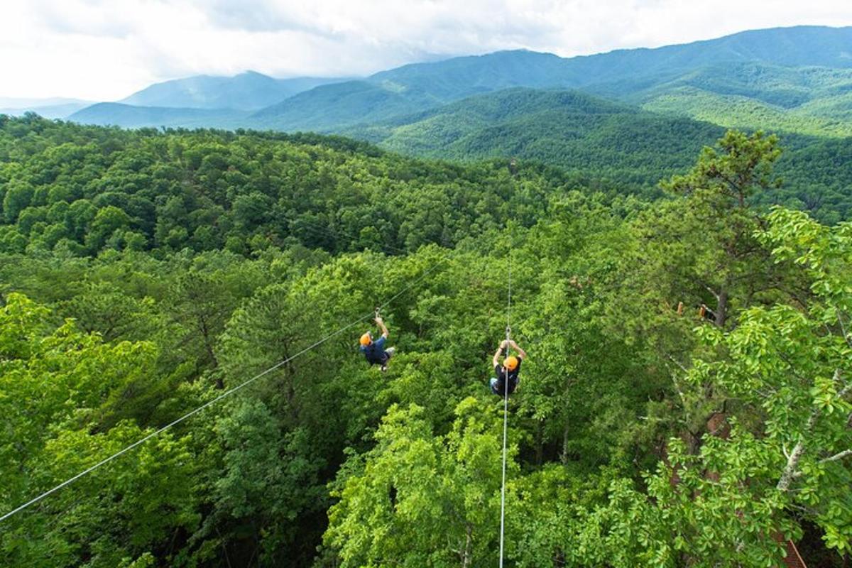 dva lidé se projíždějí na zipline mezi stromy