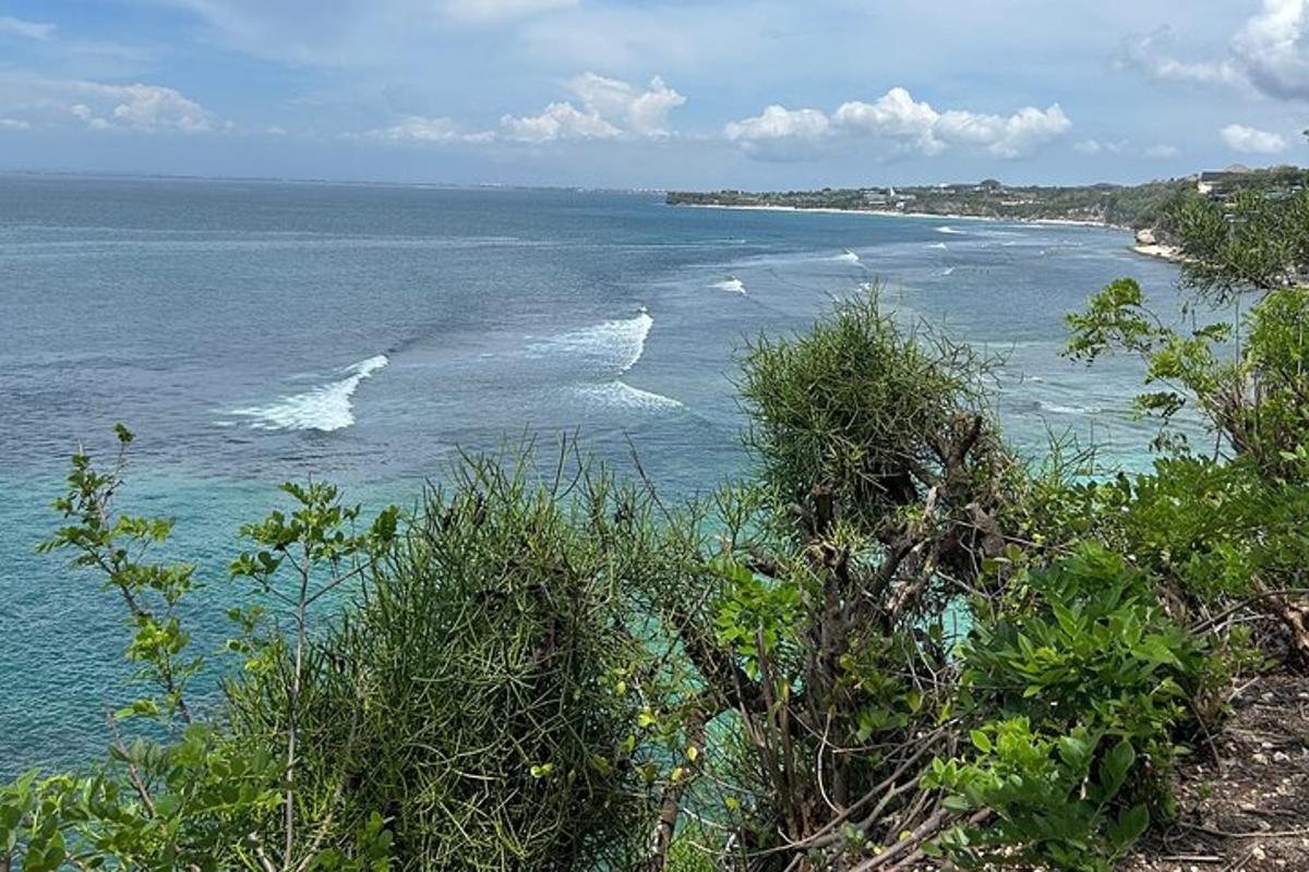 une vue d'une plage avec des vagues dans l'eau