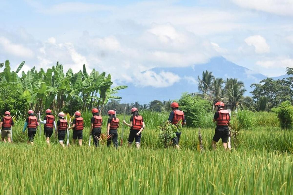 một nhóm người đang đi bộ qua một cánh đồng
