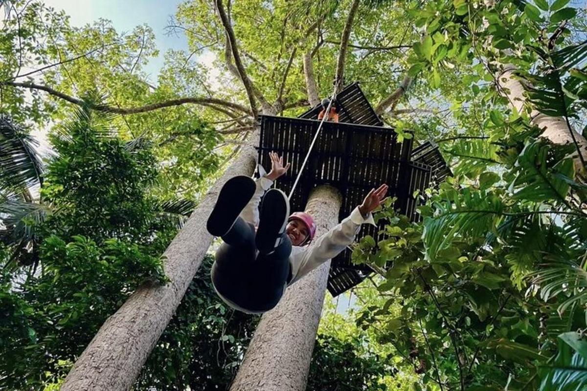 žena houpající se na zip line na stromě