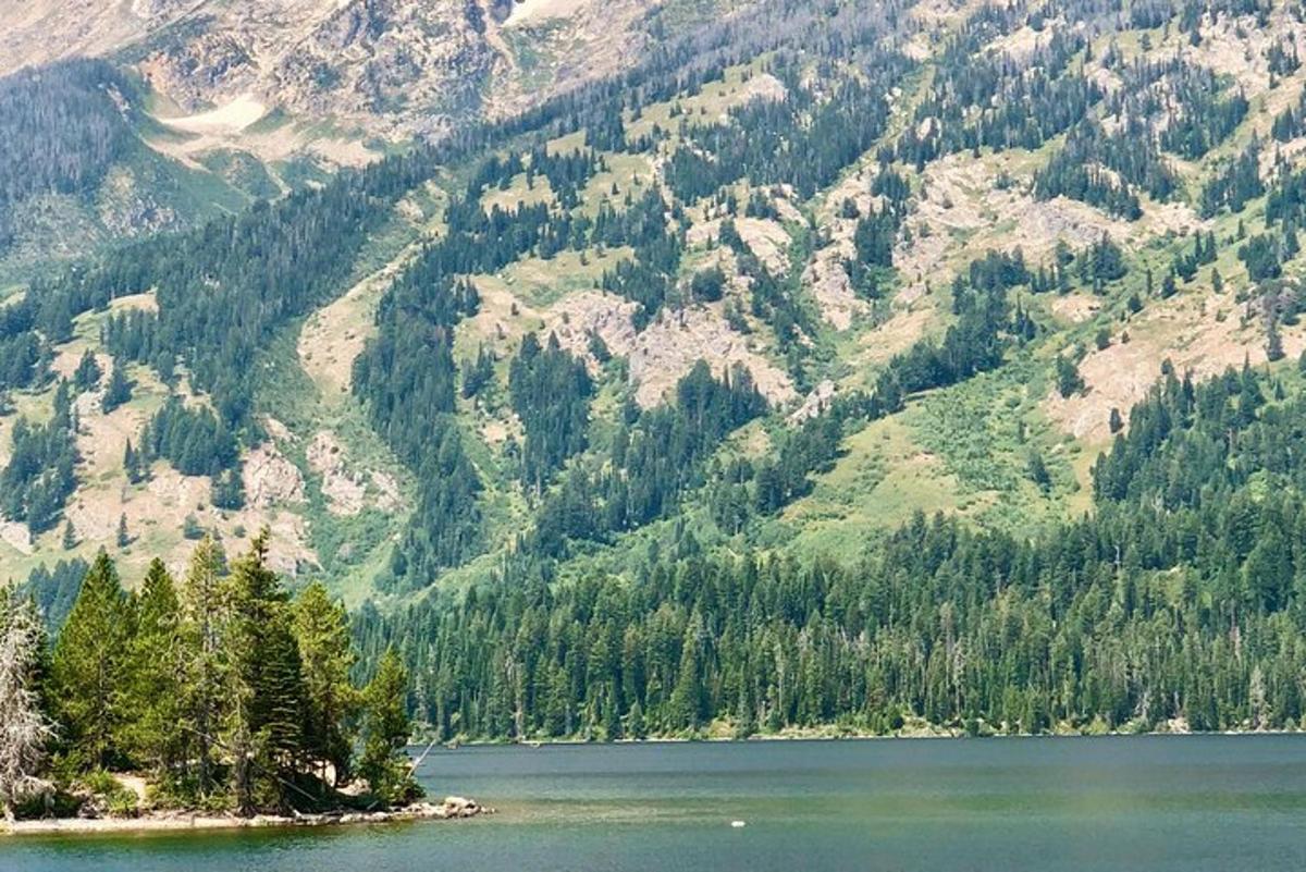 uma vista de uma montanha com um lago e árvores