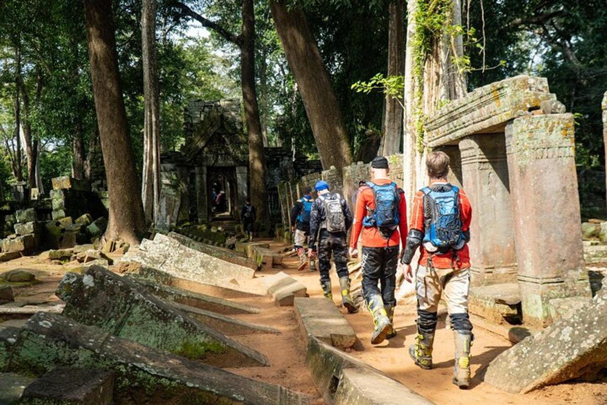 un grup de persones caminant per un camí