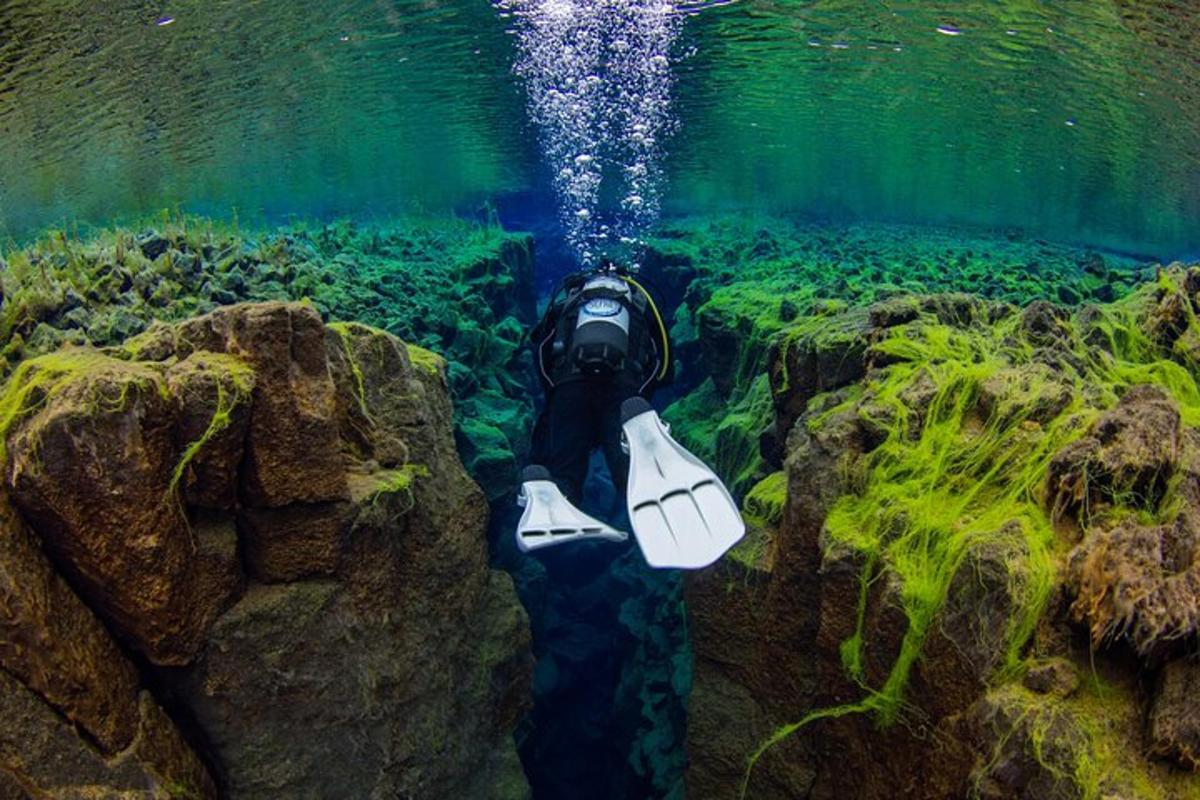 eine Person in einer Schnorchelausrüstung taucht ins Wasser