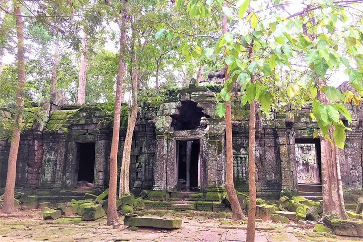 un vecchio edificio in pietra con alberi di fronte