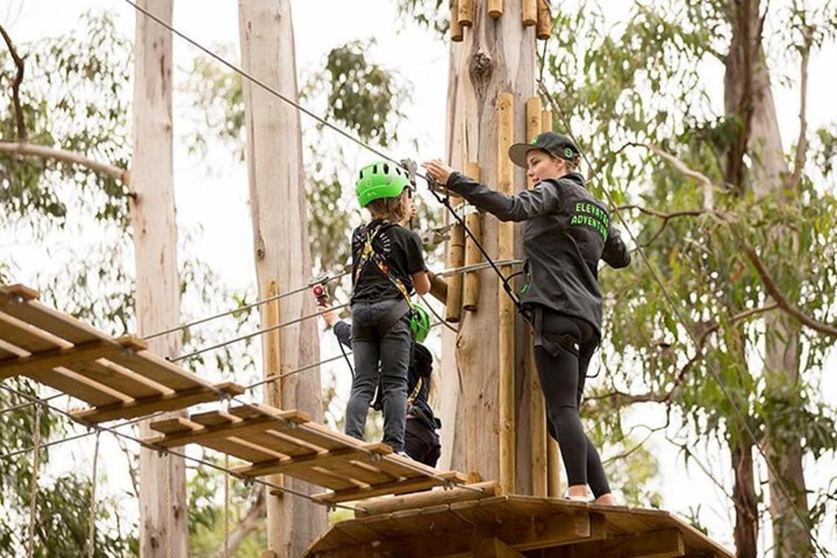 due persone su una teleferica nella foresta