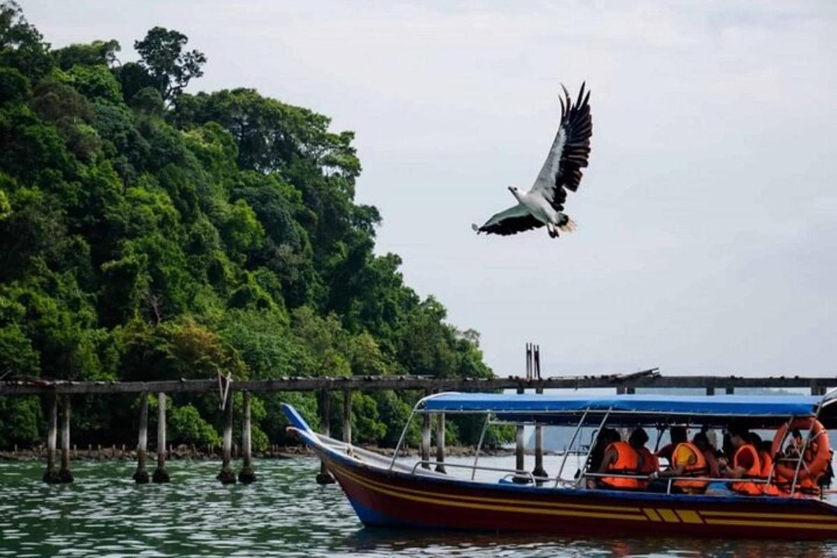 a bird flying over a boat in the water