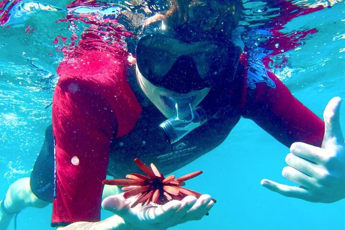 una donna che tiene una stella marina nell'acqua