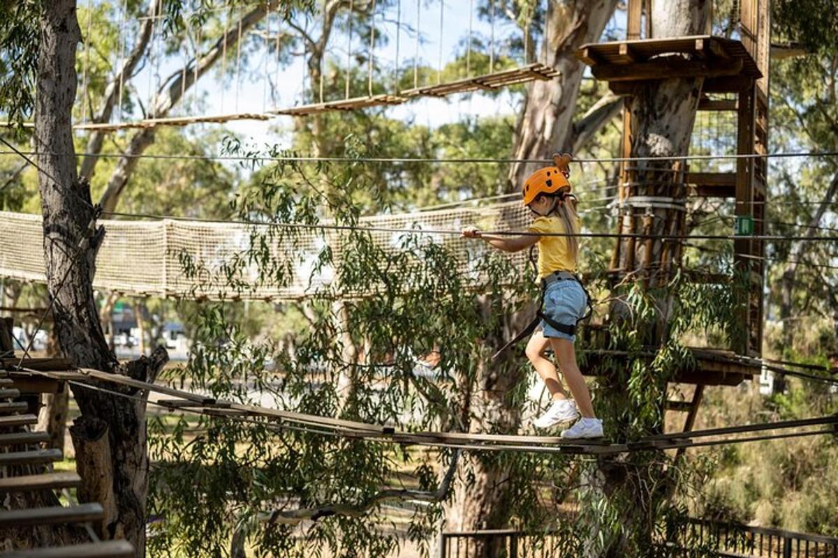 une personne sur un pont de corde dans les arbres