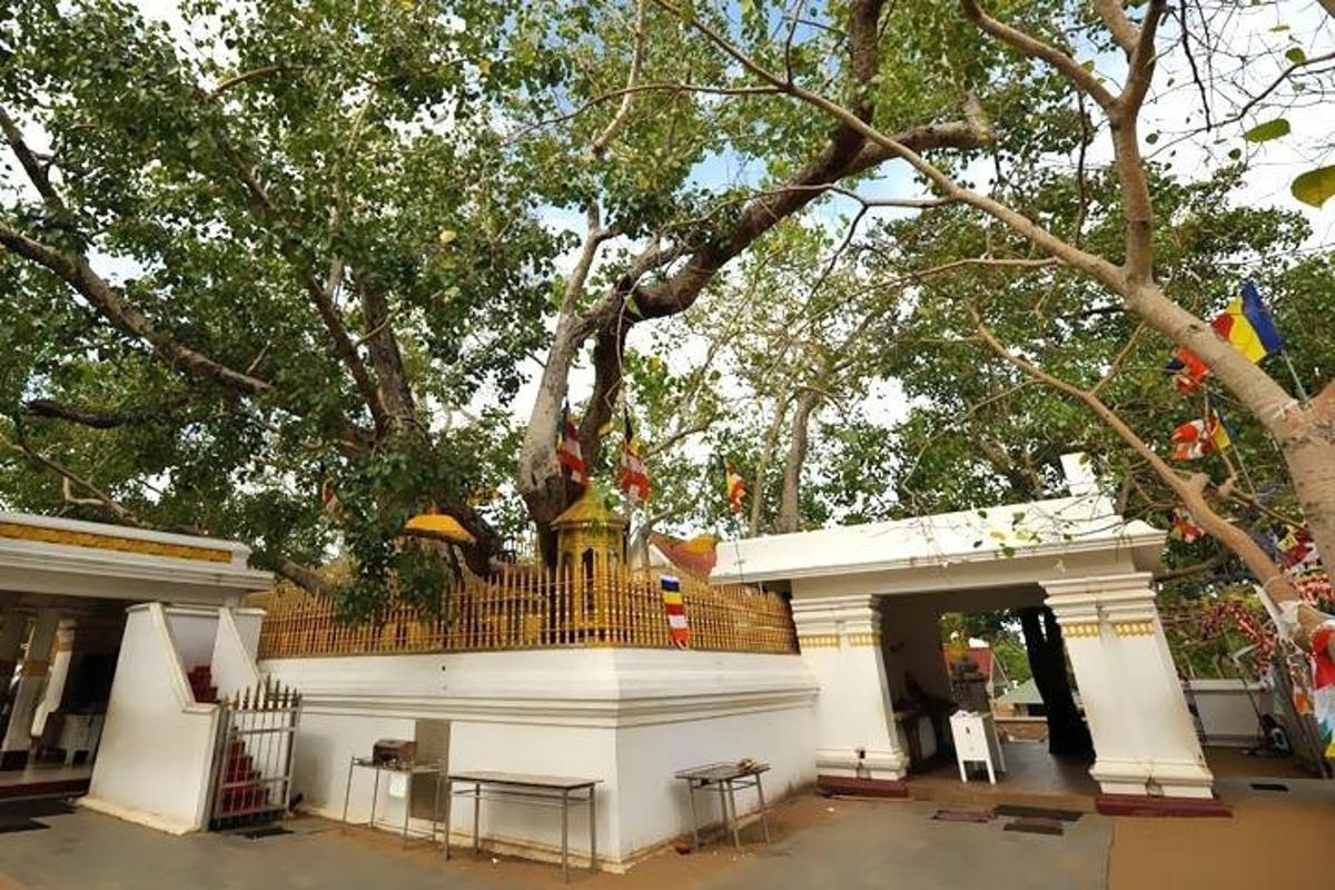 un edificio con una estatua delante de un árbol