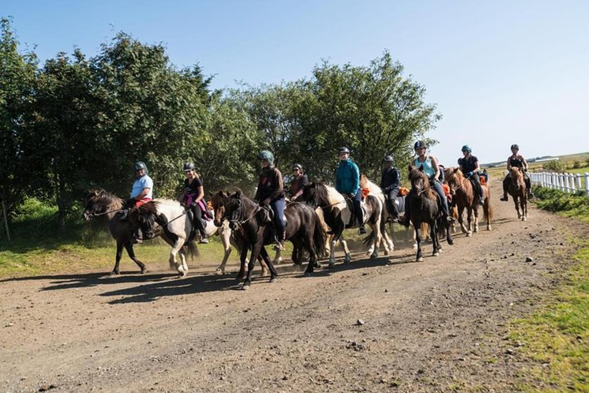 hópur fólks á hestbaki á malarvegi