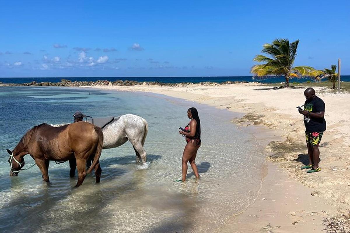 a group of people standing on a beach with horses