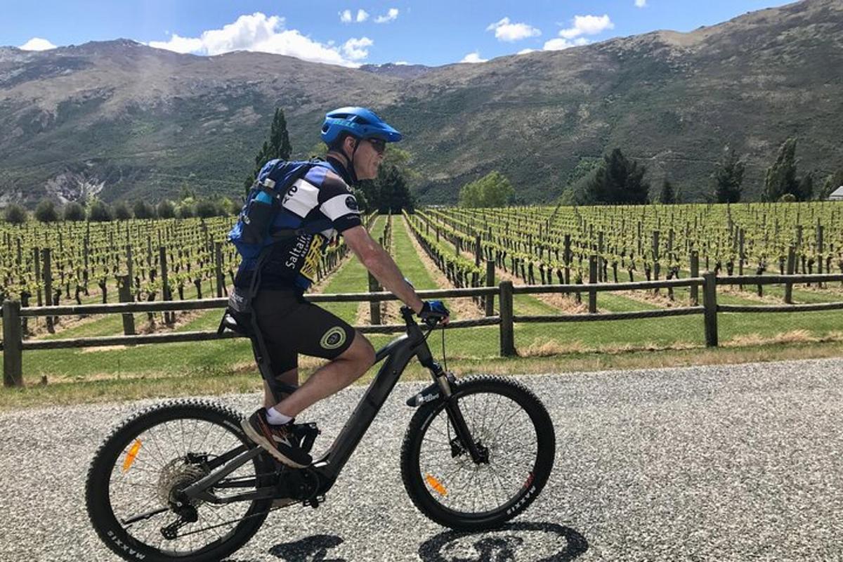 un home anant en bicicleta per una carretera davant d'una vinya