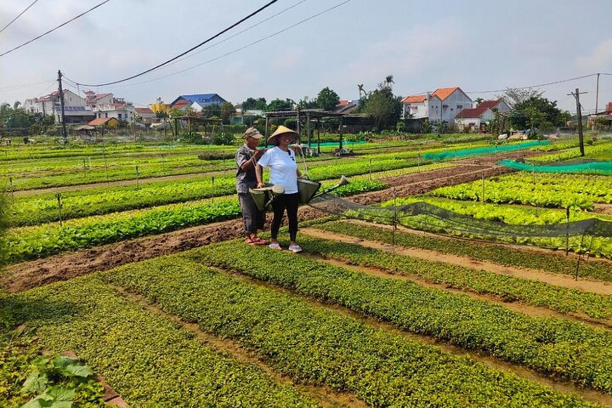two people standing in a field of crops