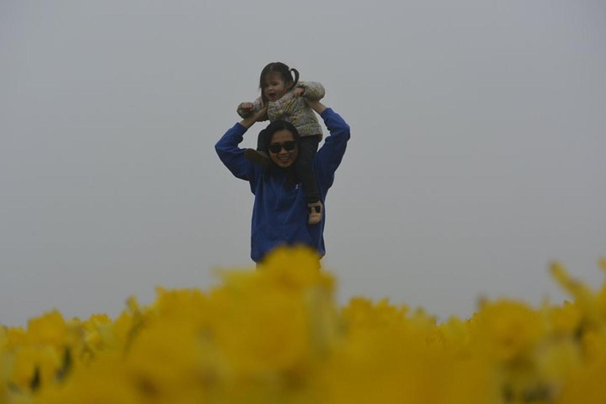 一名妇女在一片黄色花田中肩上抱着一个孩子