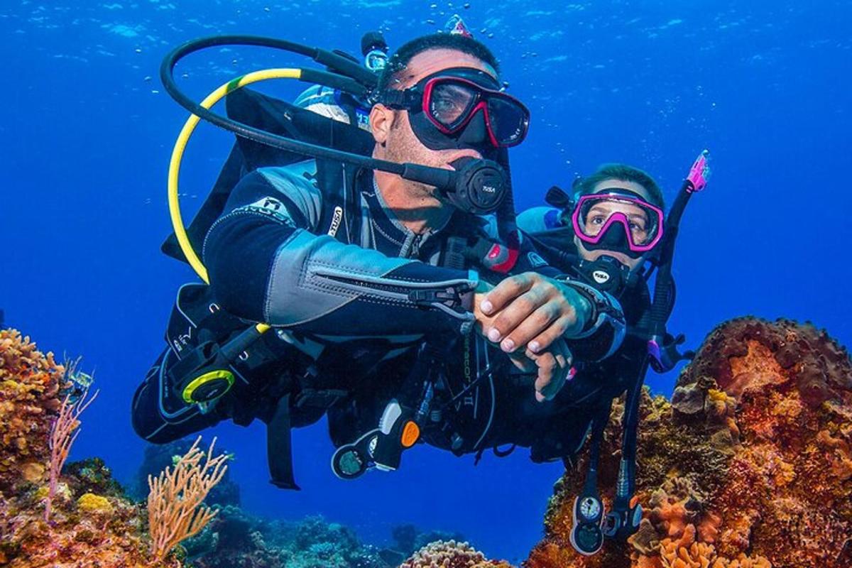 Un hombre con un buzo en un arrecife de coral