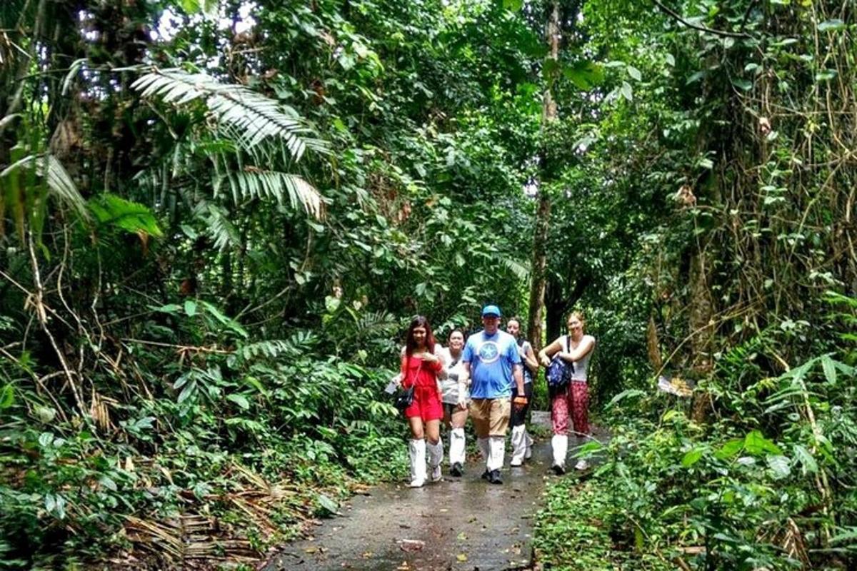 un grup de persones caminant per un sender al bosc