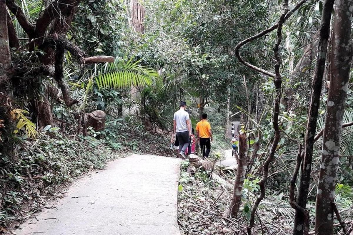 dues persones caminant per un camí al bosc