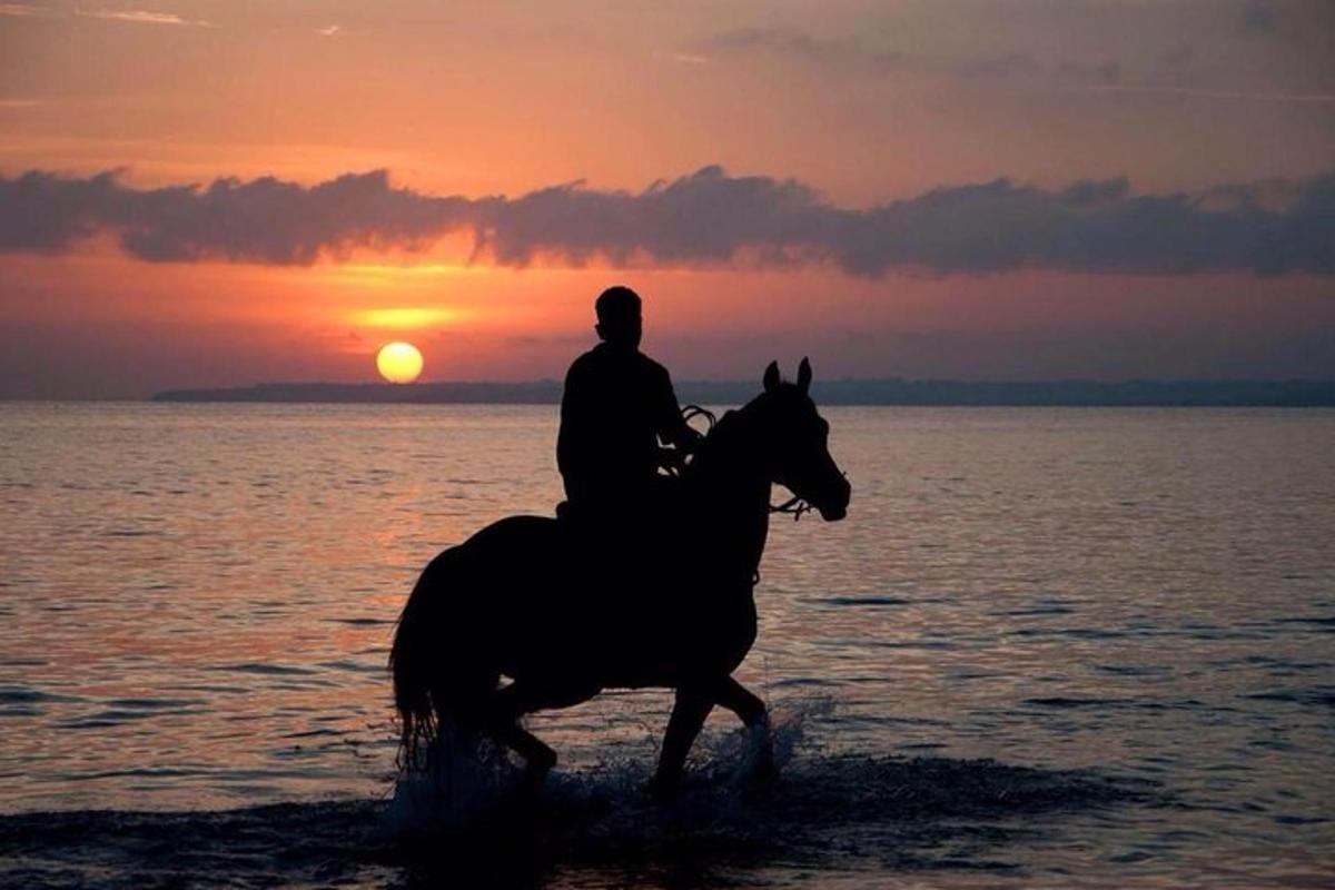 a man riding a horse on the beach at sunset