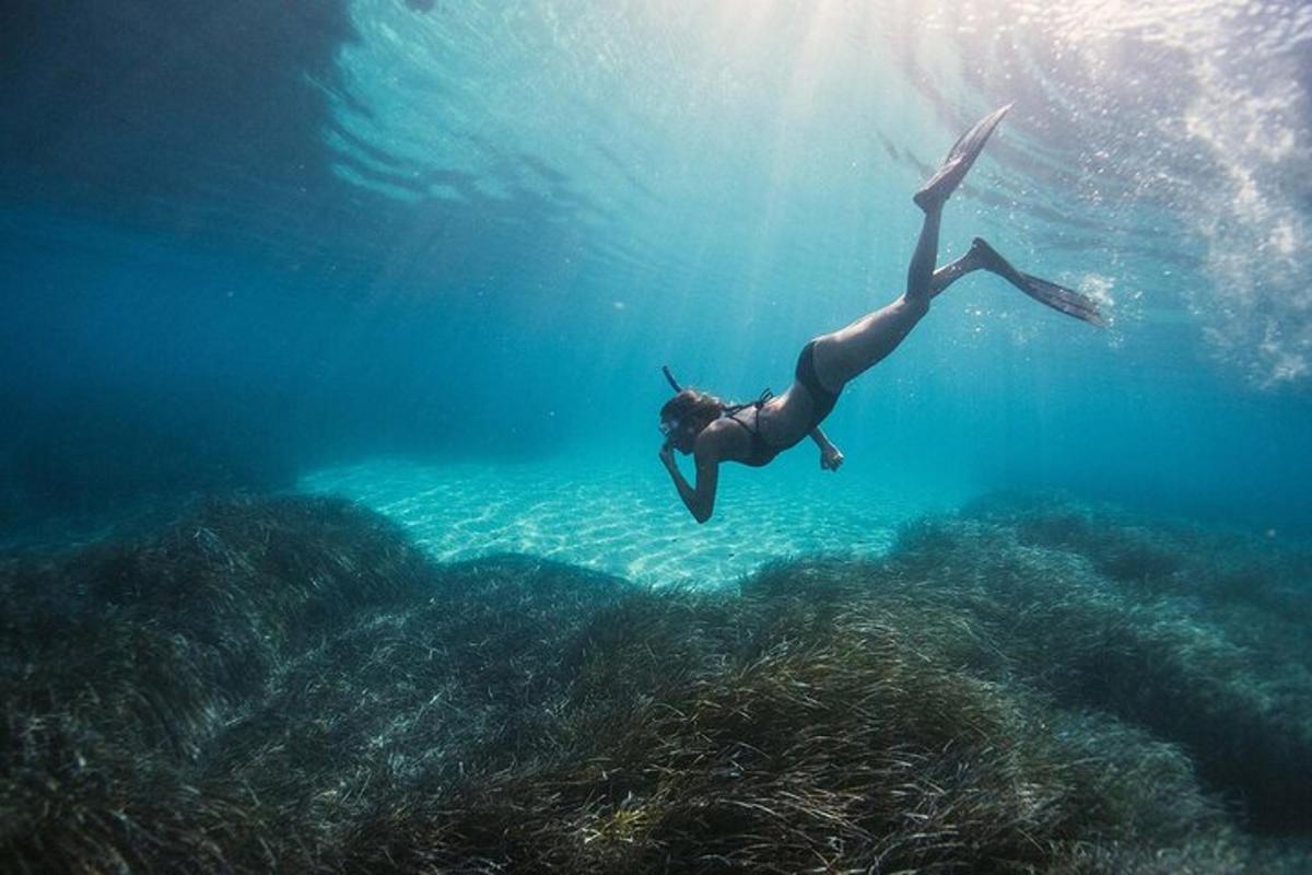 人が海の近くで泳いでいる