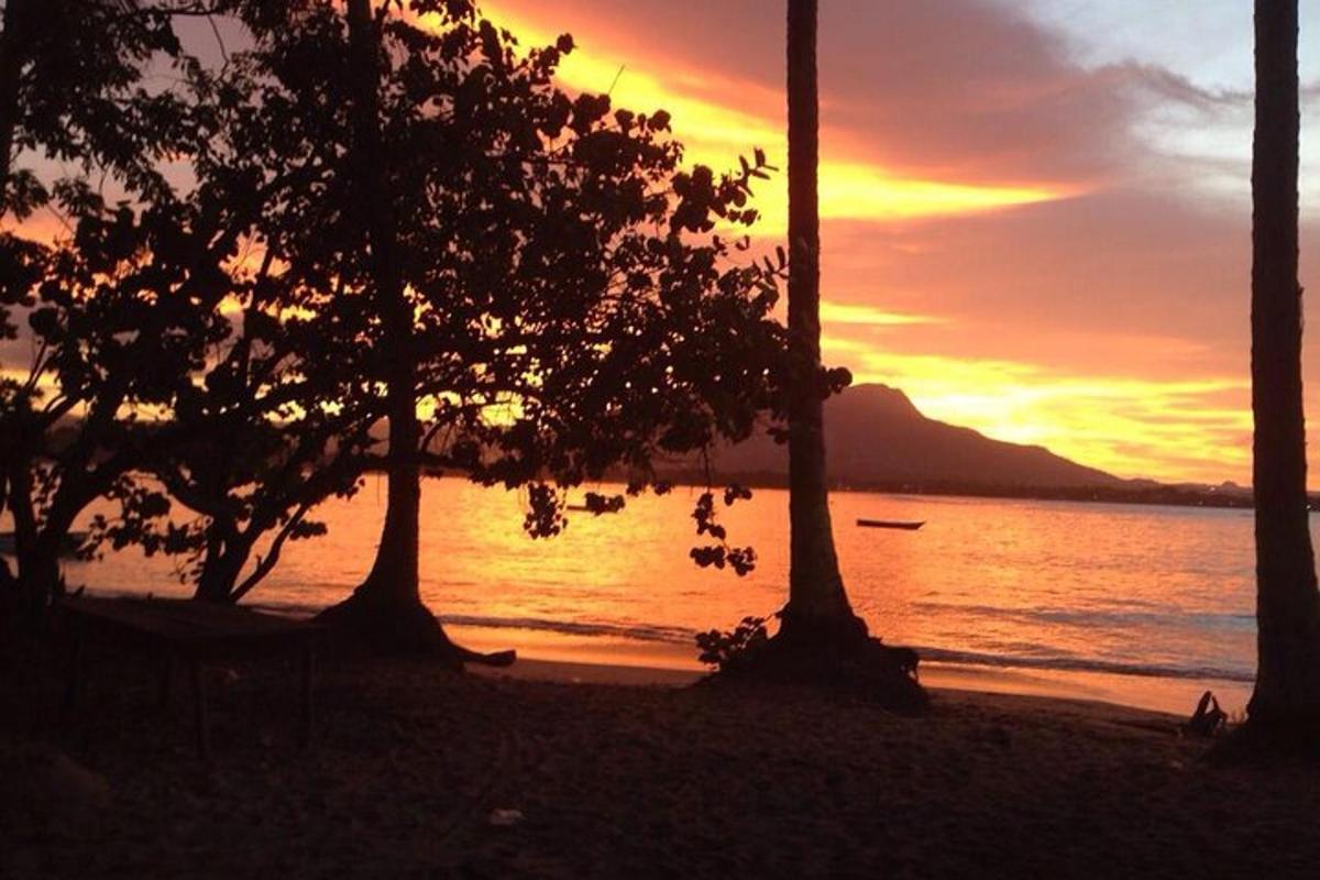 a sunset on a beach with two trees in front of the water