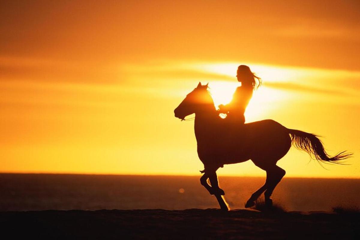 a woman riding a horse on the beach at sunset