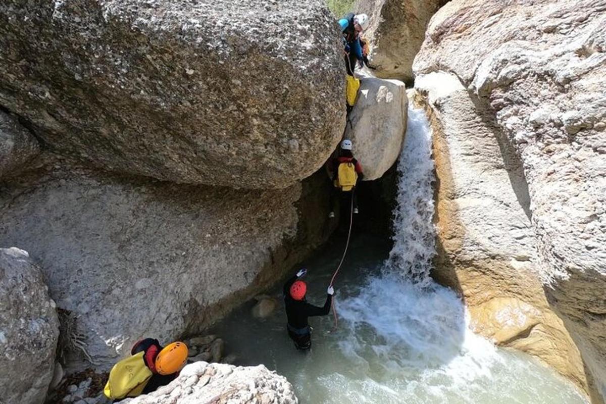 a group of people are standing in a stream of water