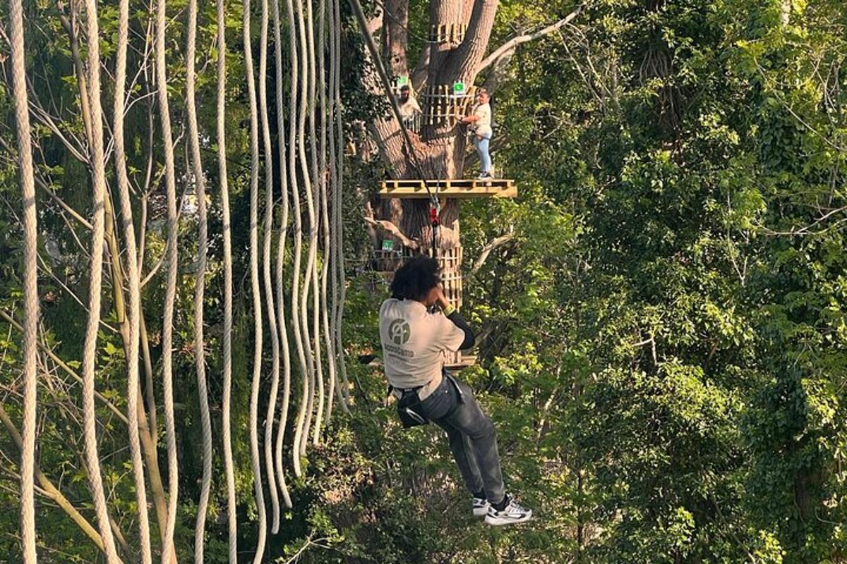 muž na zip line ve stromě