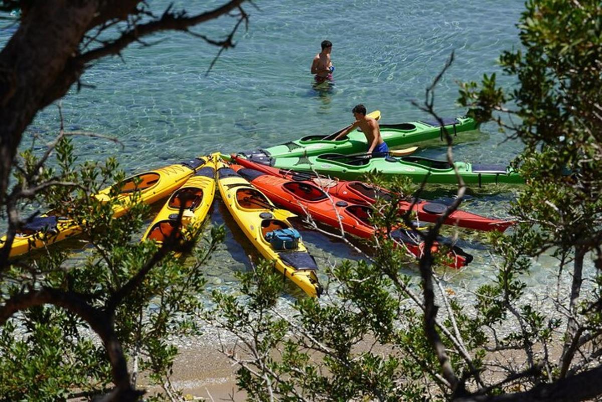 skupina kajakov v vodi na plaži
