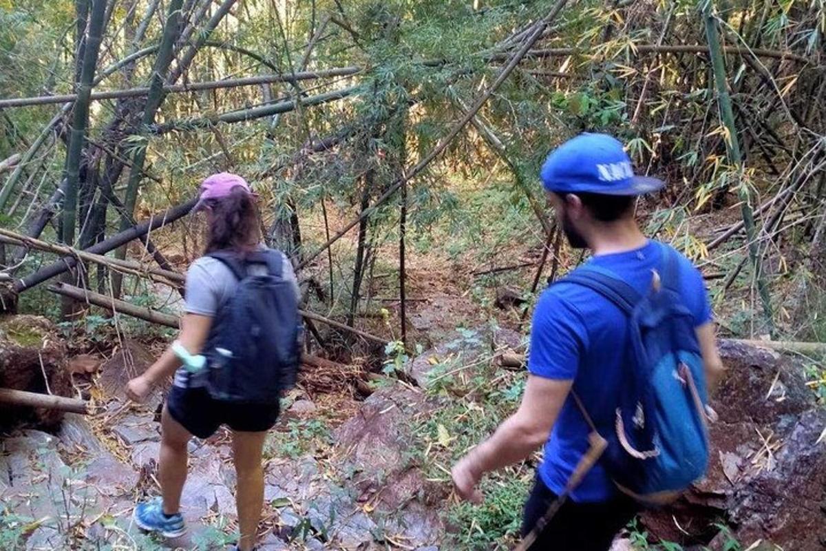 un uomo e una donna che camminano nel bosco