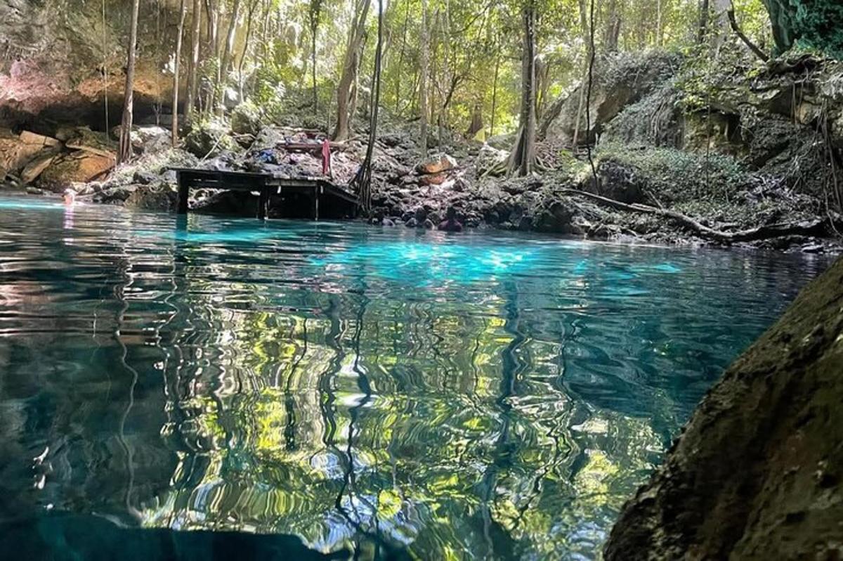 una persona in una pozza d'acqua nel bosco